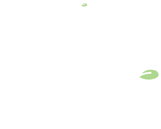 スクスク育つ定額制ホームページ制作サブスクweb SDGs+