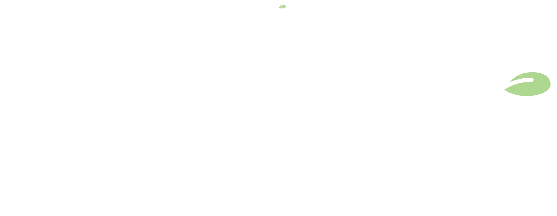 スクスク育つ定額制ホームページ制作サブスクweb SDGs+